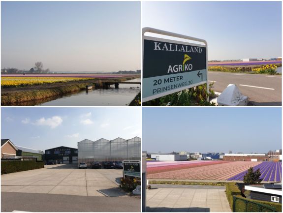 Spring at Agriko and Kallaland